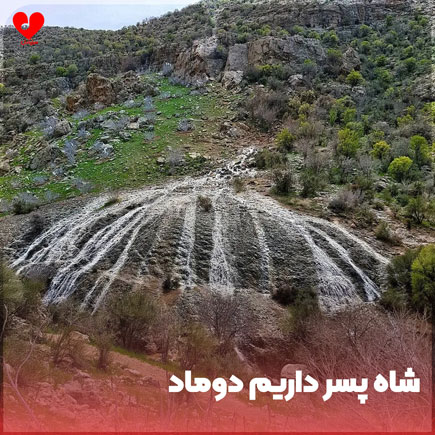 شاه پسر داریم دوماد + ارکستی