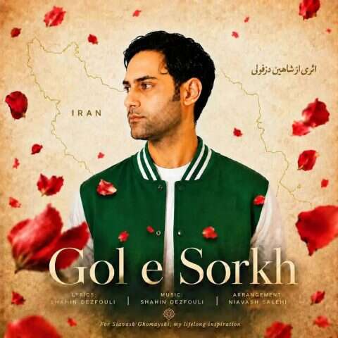 شاهین دزفولی گل سرخ