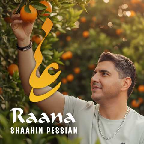 شاهین پسیان رعنا