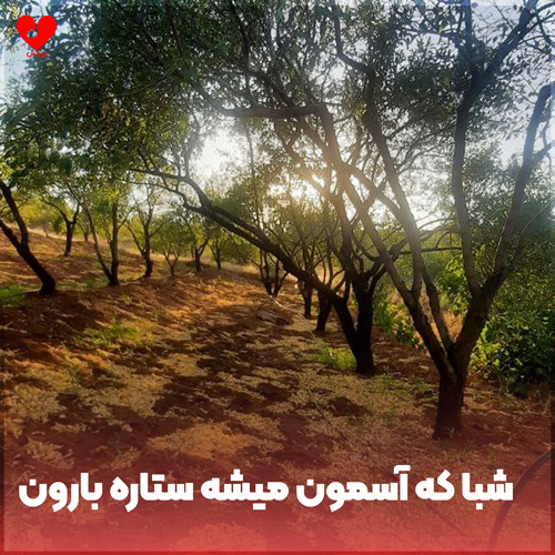 شبا که آسمون میشه ستاره بارون