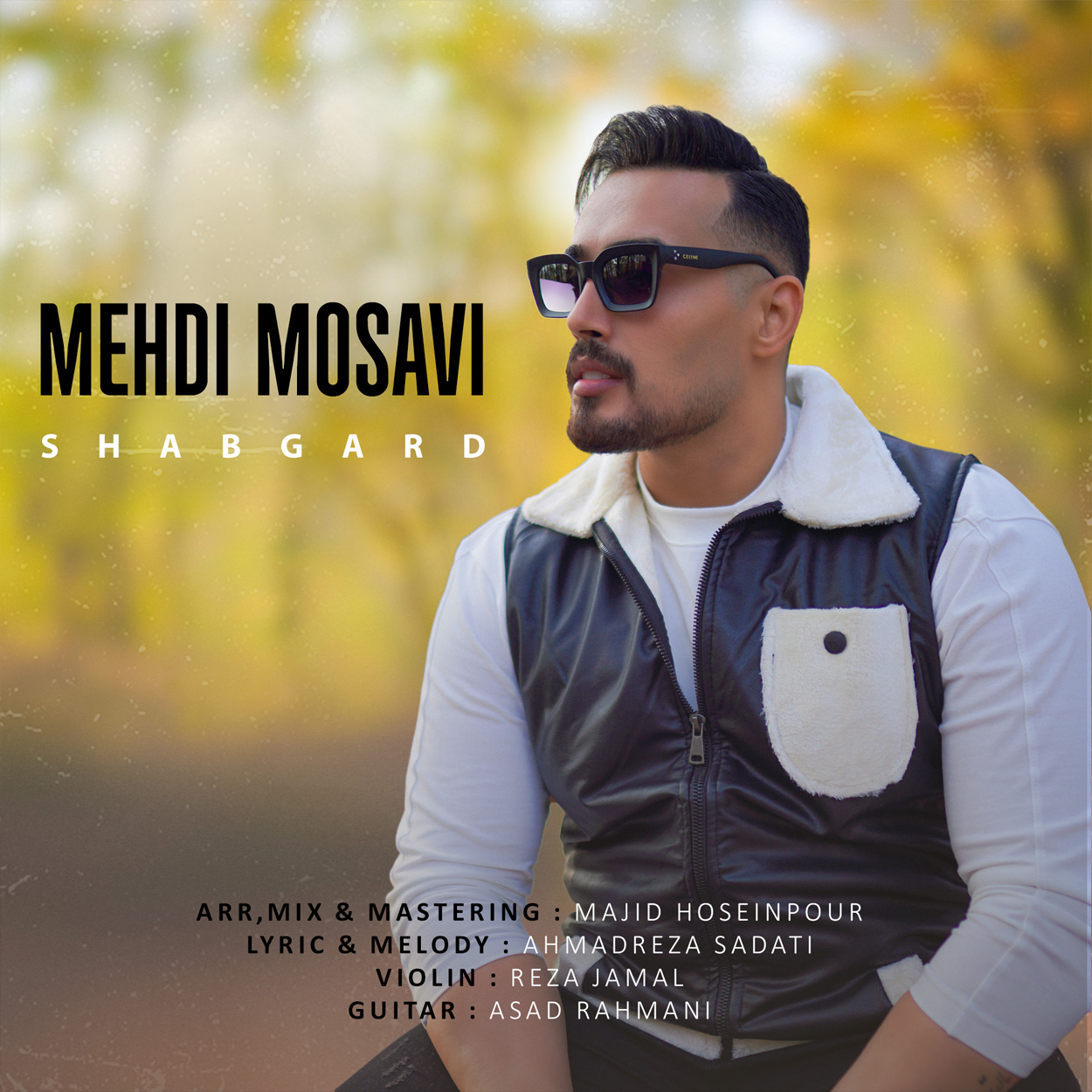 شبگرد مهدی موسوی