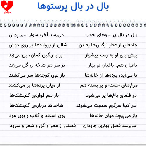 شعر بال در بال