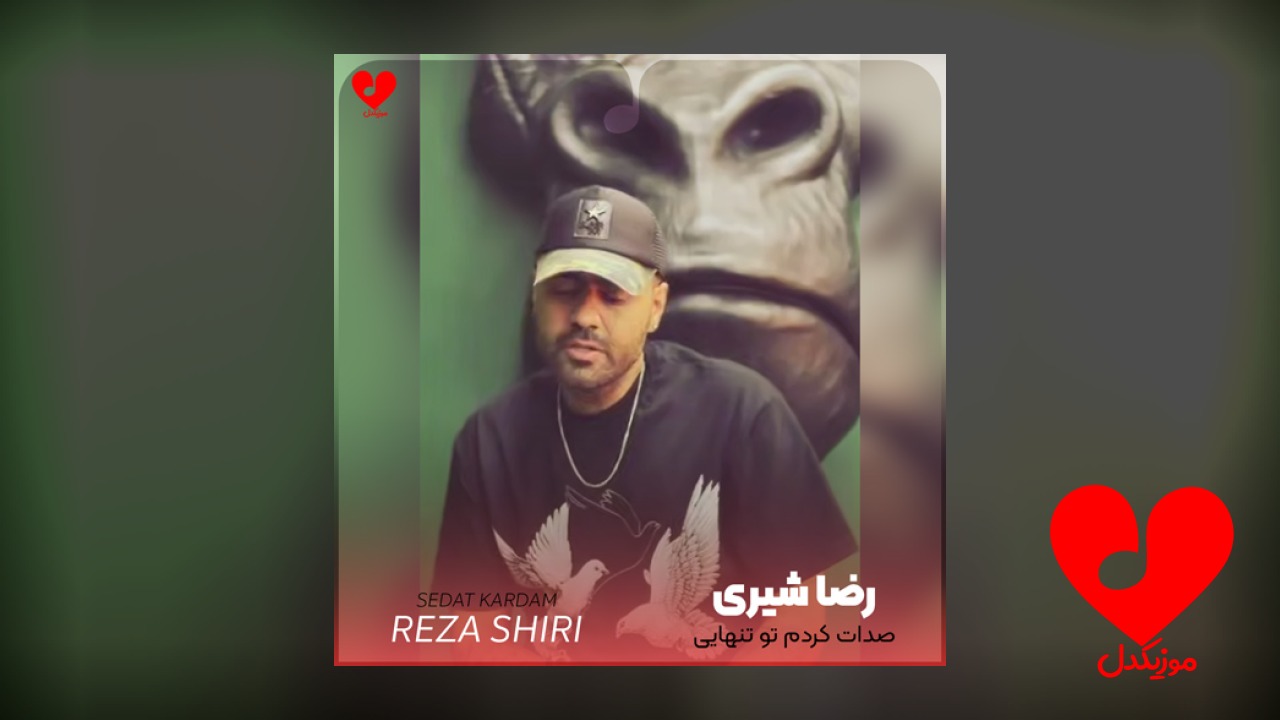 صدات کردم تو تنهایی