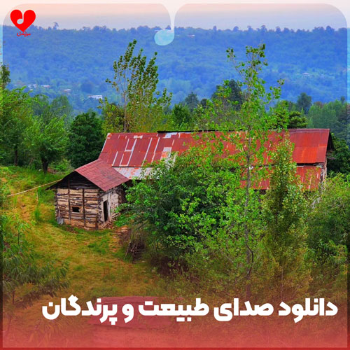 صدای طبیعت و پرندگان