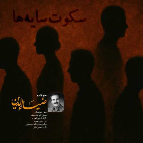 ضیاءالدین سکوت سایه ها