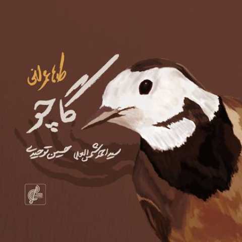 طاها عمرانی گاچو