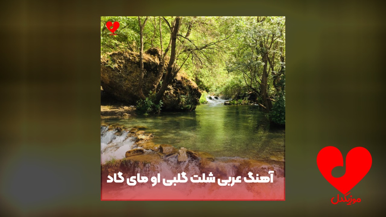 عربی شلت گلبی او مای گاد