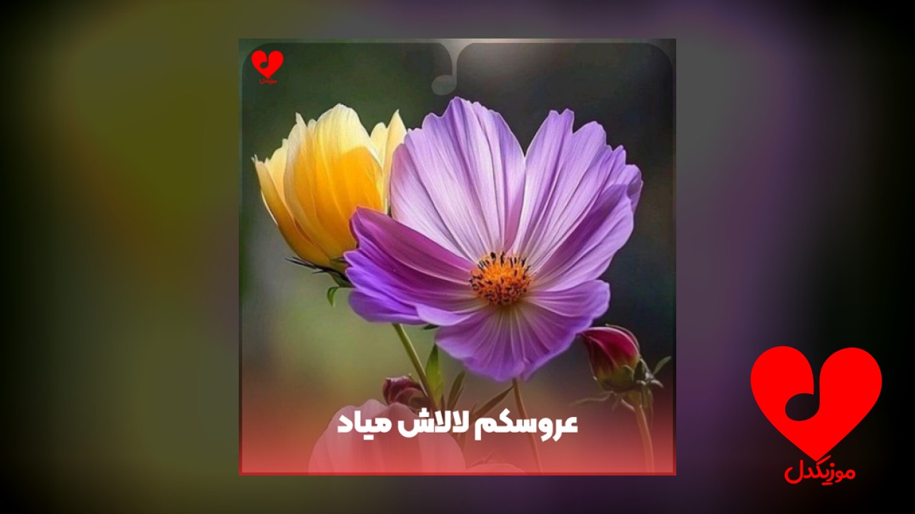 عروسکم لالاش میاد