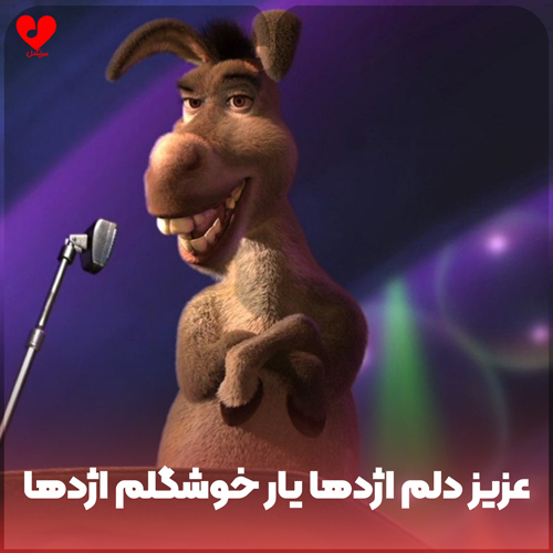 عزیز دلم اژدها یار خوشگلم اژدها