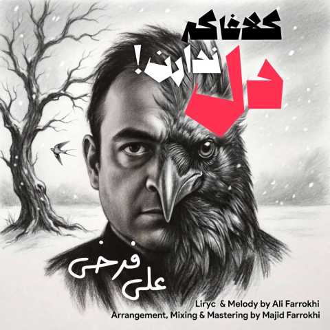 علی فرخی کلاغا که دل ندارن