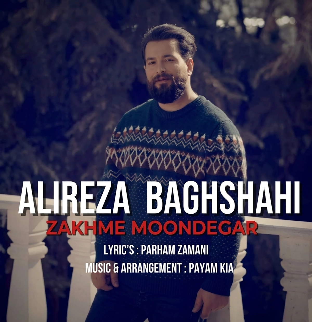 علیرضا باغشاهی زخم موندگار