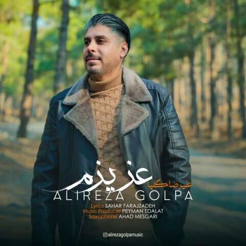 علیرضا گلپا عزیزم