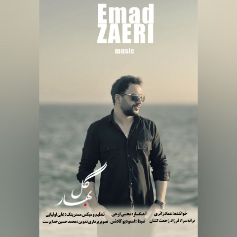 عماد زائری گل بهار