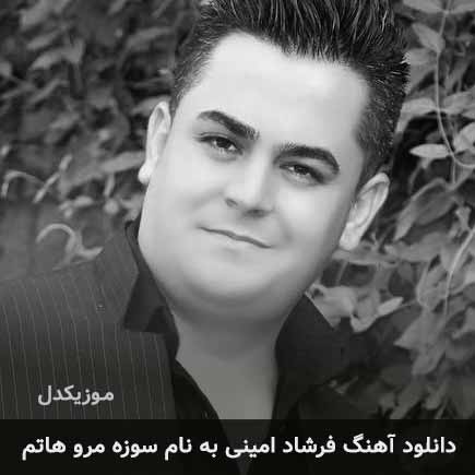 فرشاد امینی سوزه مرو هاتم