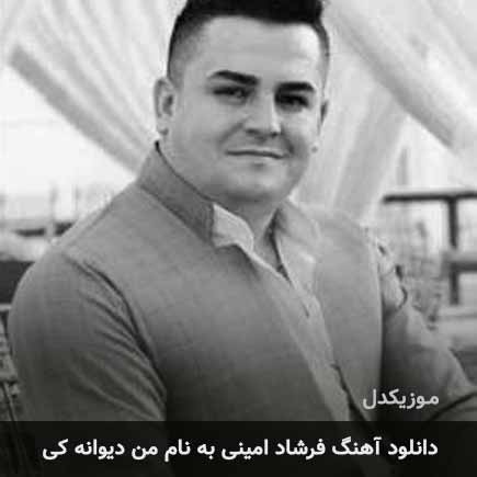 فرشاد امینی من دیوانه کی