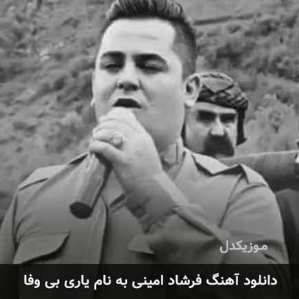 فرشاد امینی یاری بی وفا
