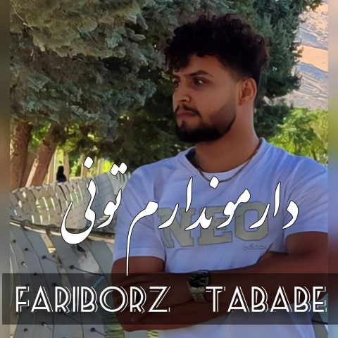 فریبرز تبابه دارمو ندارم تونی