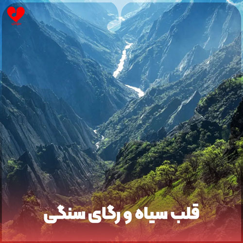 قلب سیاه و رگای سنگی