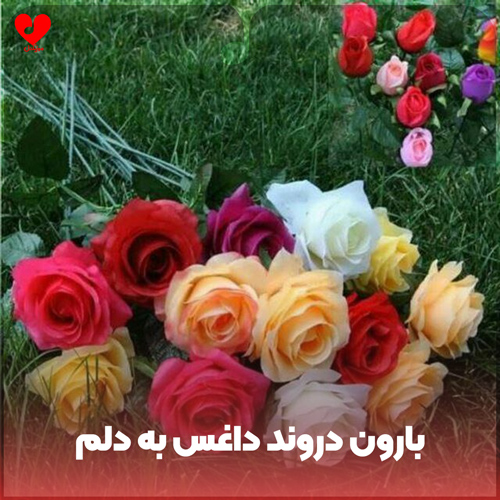 لری بارون دروند داغس به دلم