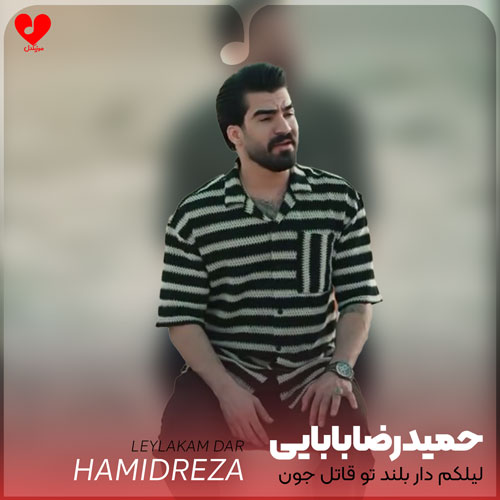 لیلکم دار بلند تو
