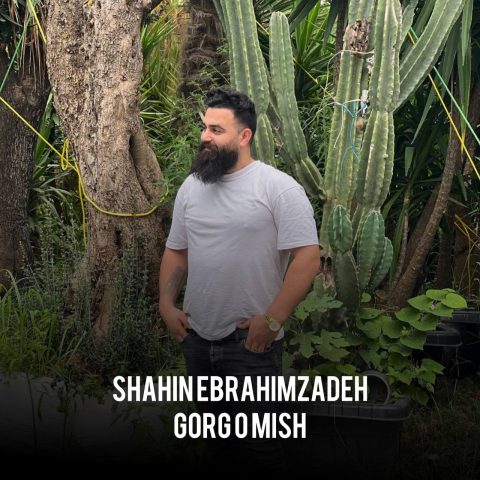 مازندرانی شاهین ابراهیم زاده
