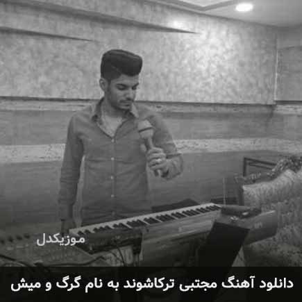 مجتبی ترکاشوند گرگ و میش