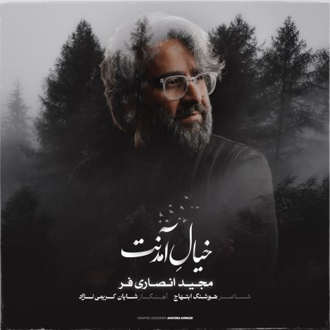 مجید انصاری فر خیال آمدنت