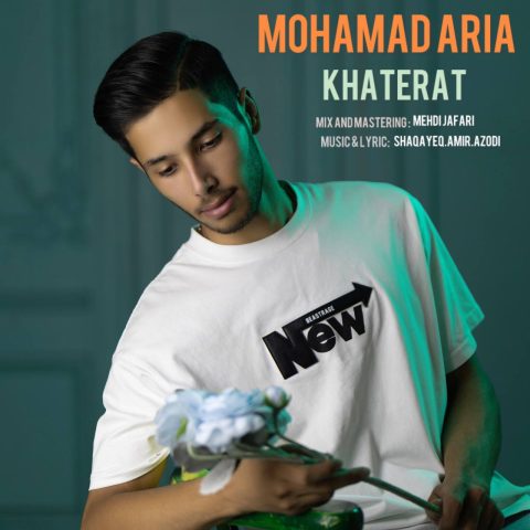 محمد آریا خاطرات