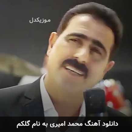 محمد امیری گلکم