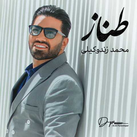 محمد زندوکیلی طناز