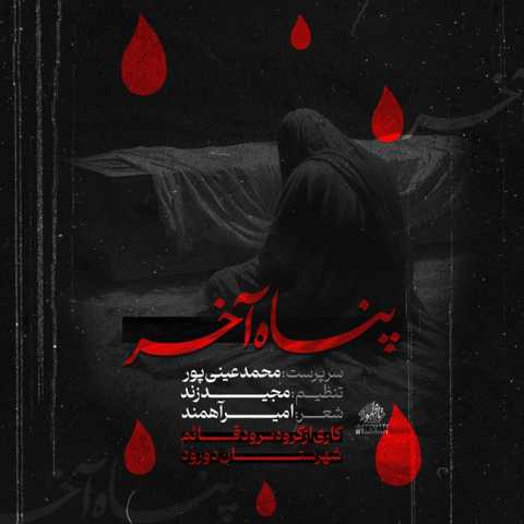 محمد عینی پور پناه آخر