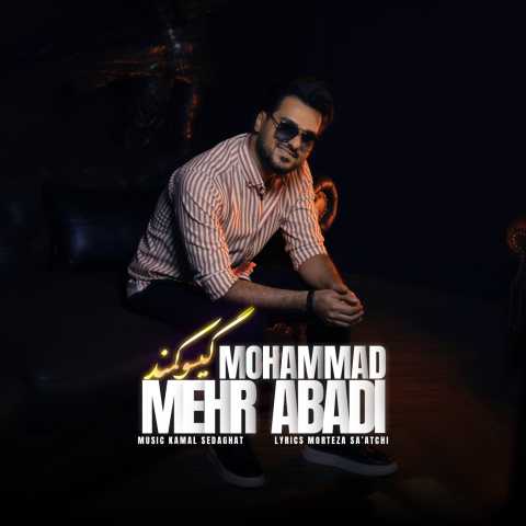 محمد مهرآبادی گیسو کمند