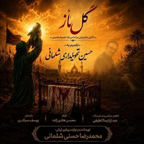 محمدرضا حسنی گل ناز