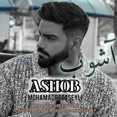 محمدرضا سیلی آشوب