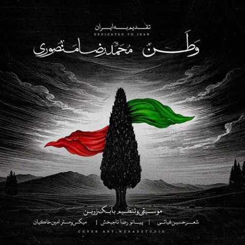محمدرضا منصوری وطن ۲