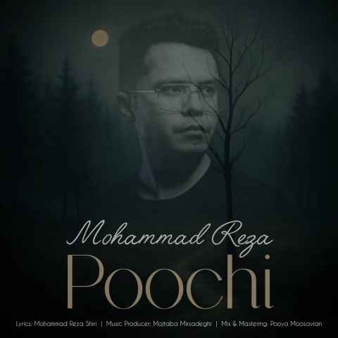 محمدرضا پوچی