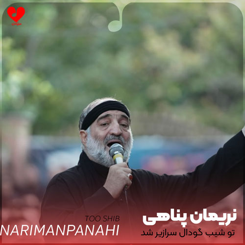 مداحی تو شیب گودال