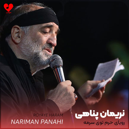 مداحی رویای حرم توی سرمه