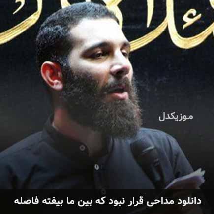 مداحی قرار نبود که
