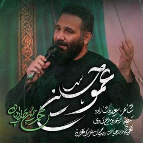 مداحی محمد حسین حدادیان عمو حسین