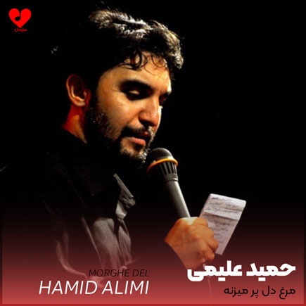 مداحی مرغ دل پر
