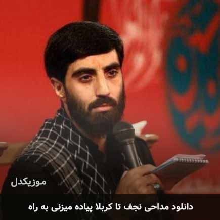 مداحی نجف تا کربلا