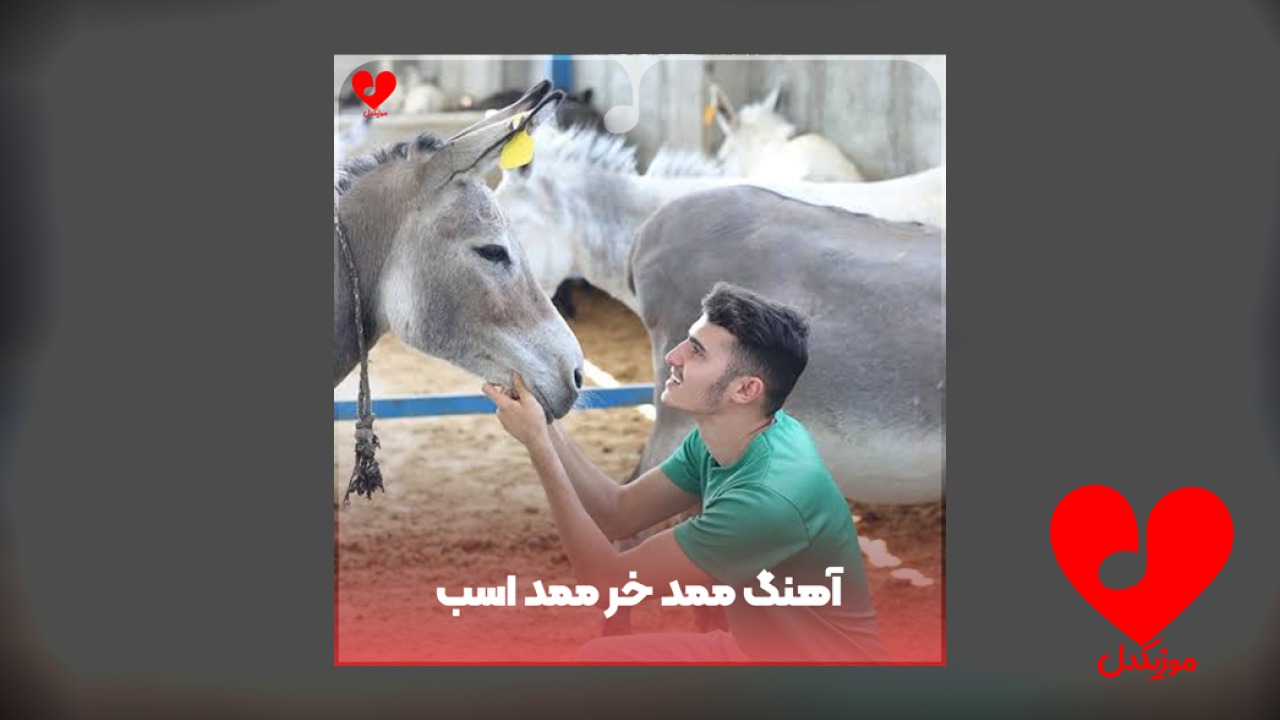ممد خر ممد اسب