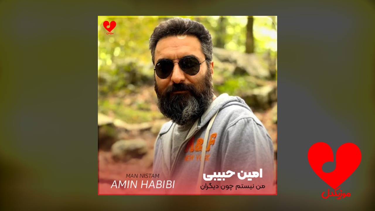 من نیستم چون دیگران