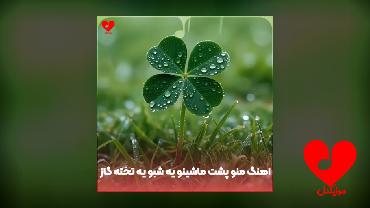 منو پشت ماشینو یه