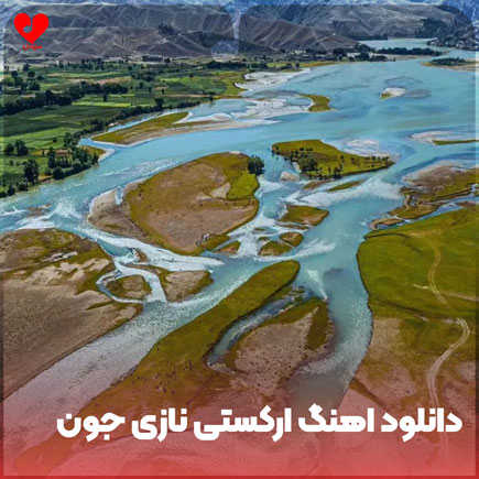نازی جون