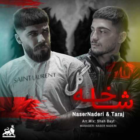 ناصر نادری و تاراج شاخه گل