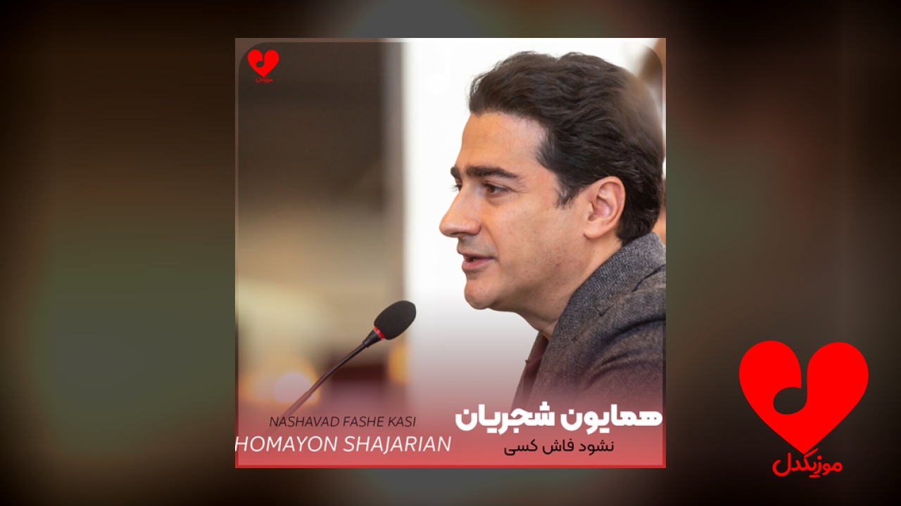 نشود فاش کسی آنچه