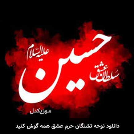 نوحه تشنگان حرم عشق