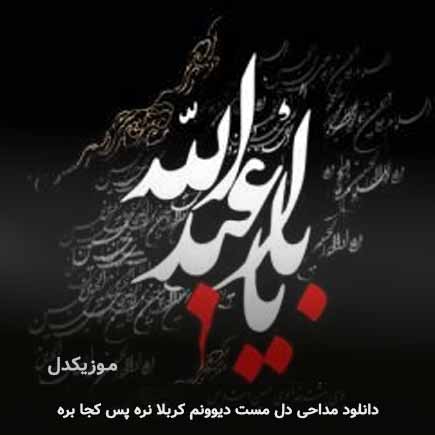 نوحه دل مست دیوونم
